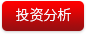 投资分析